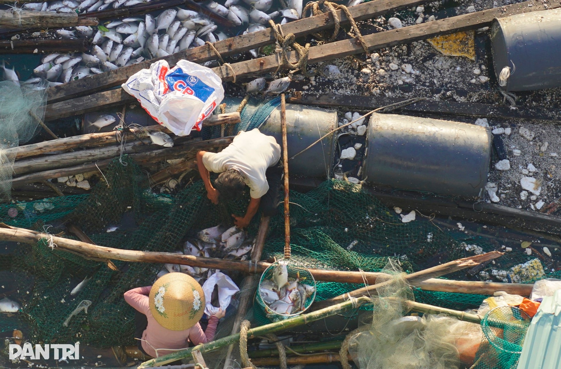 Ngư dân thất thần sau bão Kalmaegi: Trắng tay rồi, tan nát hết! - 3 Ngư dân thất thần sau bão Kalmaegi: Trắng tay rồi, tan nát hết! - 3