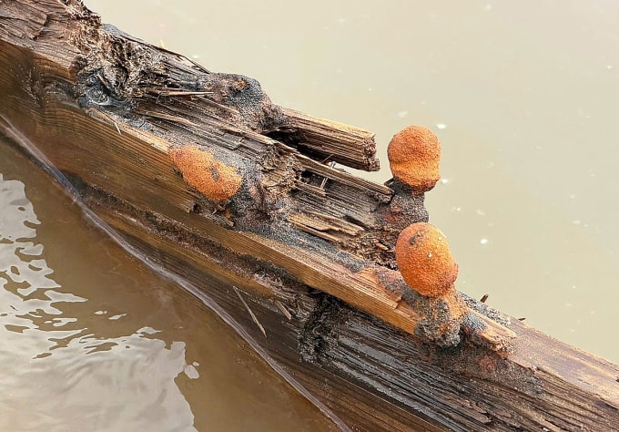 Thân tàu lộ rõ dấu vết thời gian. Ảnh: Người dân cung cấp