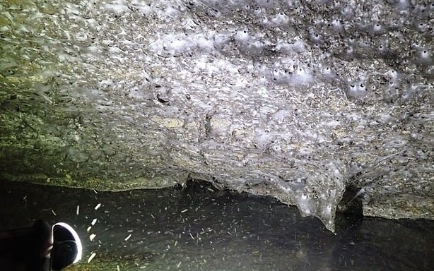 Cô gái xinh đẹp tham gia thử thách sinh tồn và cái kết bất ngờ - Ảnh 2.