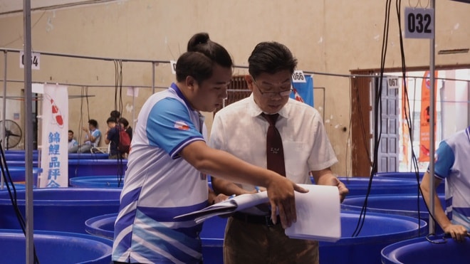 Hơn 300 cá Koi Nhật tranh tài tại ZNA Vietnam Young Koi Show 2025 - Ảnh 7.