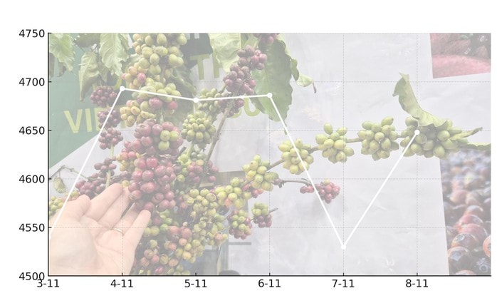Giá cà phê hôm nay 8 -11: Quay đầu tăng mạnh - Ảnh 1.