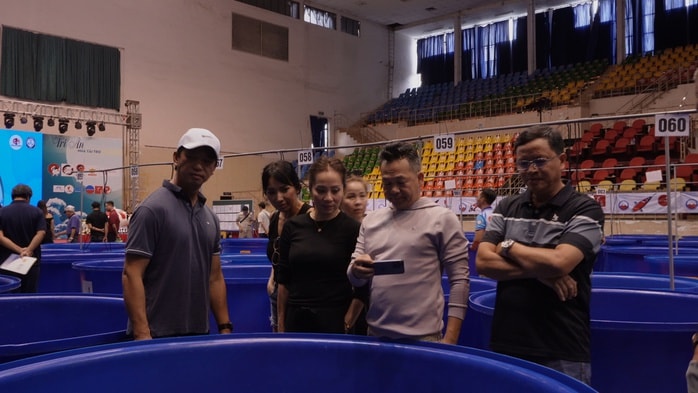 Hơn 300 cá Koi Nhật tranh tài tại ZNA Vietnam Young Koi Show 2025 - Ảnh 8.