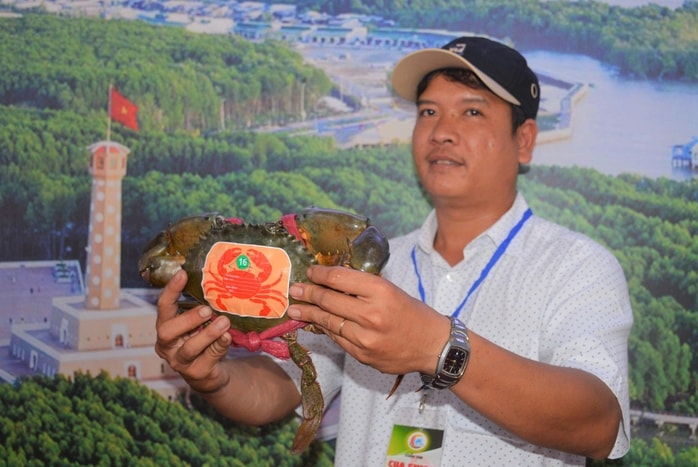 - Ảnh 1. - Ảnh 1.