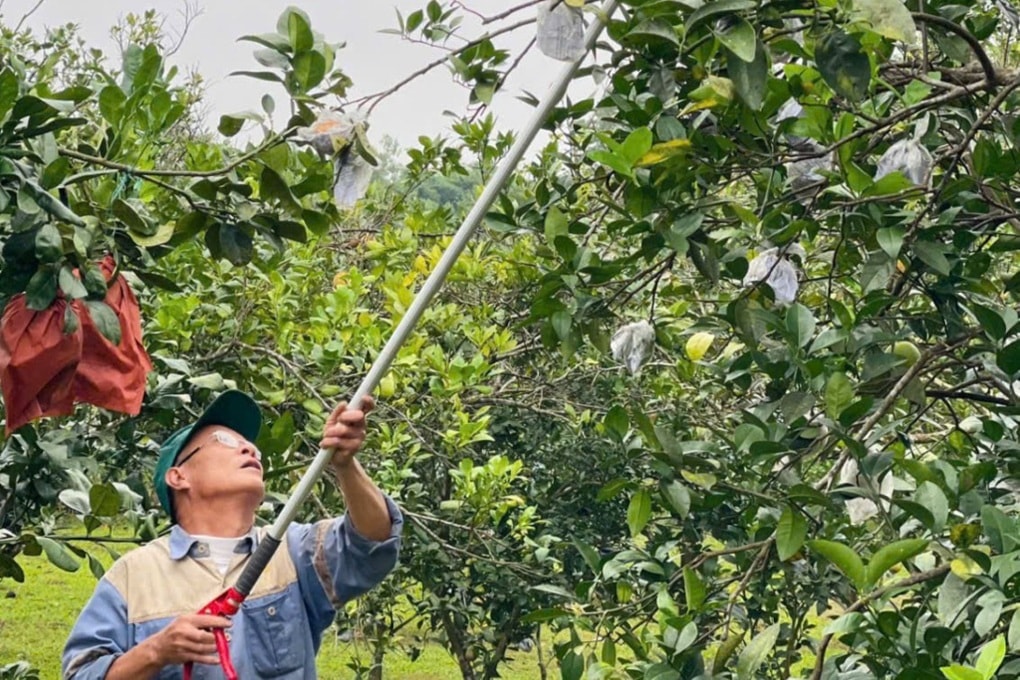 Nông dân có thu nhập kép nhờ cách làm sáng tạo - 2 Nông dân có thu nhập kép nhờ cách làm sáng tạo - 2