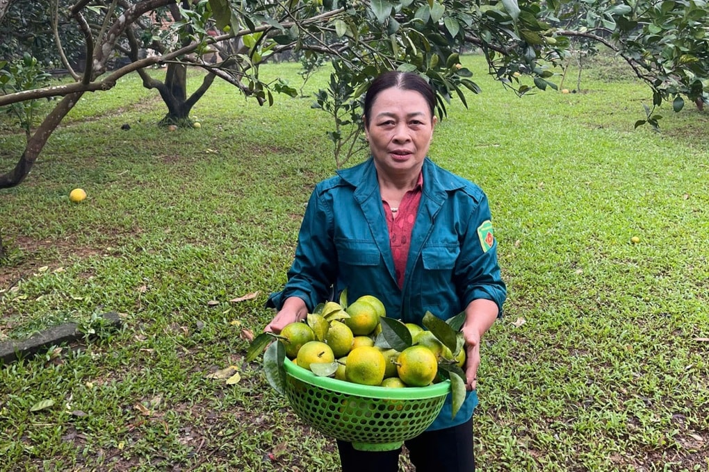 Nông dân có thu nhập kép nhờ cách làm sáng tạo - 1 Nông dân có thu nhập kép nhờ cách làm sáng tạo - 1