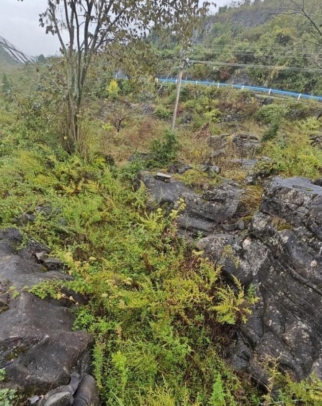 Khu vực Hùng Triều chôn xác nạn nhân. Ảnh: 163