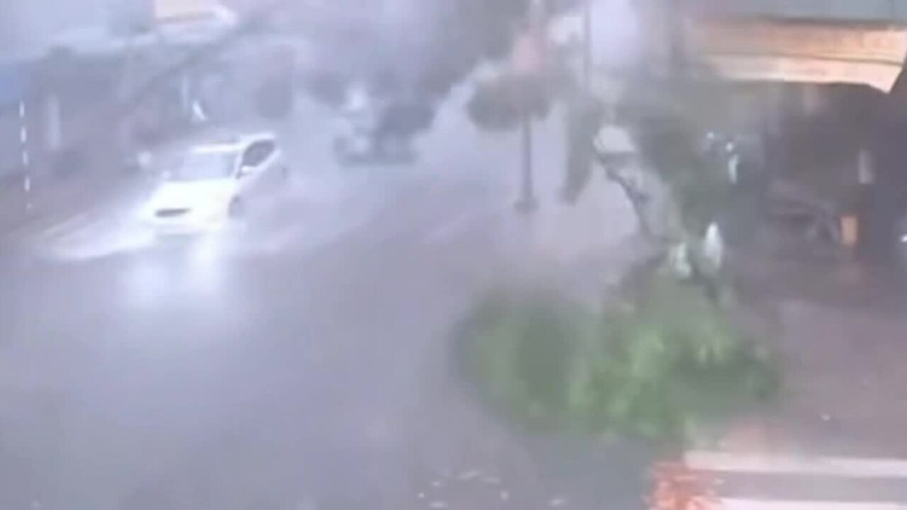 Cây xanh đổ hàng loạt trong giông lốc ở TP HCM