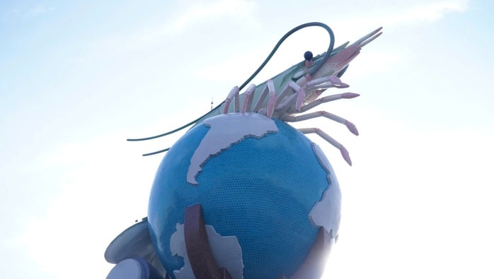 CLIP: Cận cảnh quảng trường 278 tỉ đồng, biểu tượng ngành hàng tỉ USD ở Cà Mau - Ảnh 6.