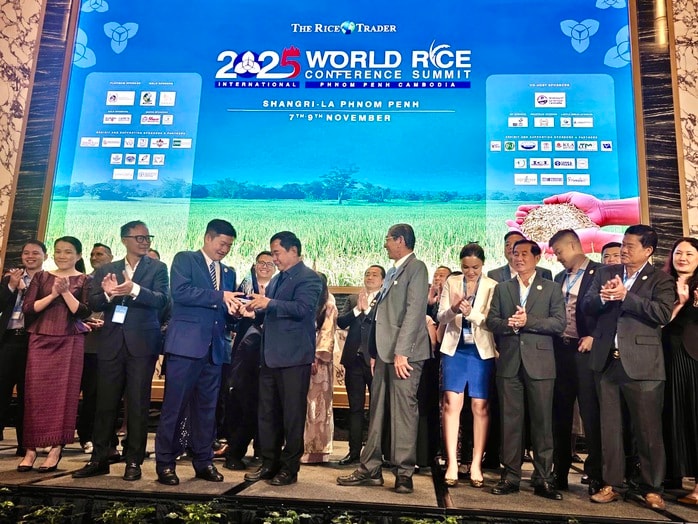 Tin vui: Gạo ST 25 lần thứ 3 thắng giải "gạo ngon nhất thế giới" - Ảnh 1.