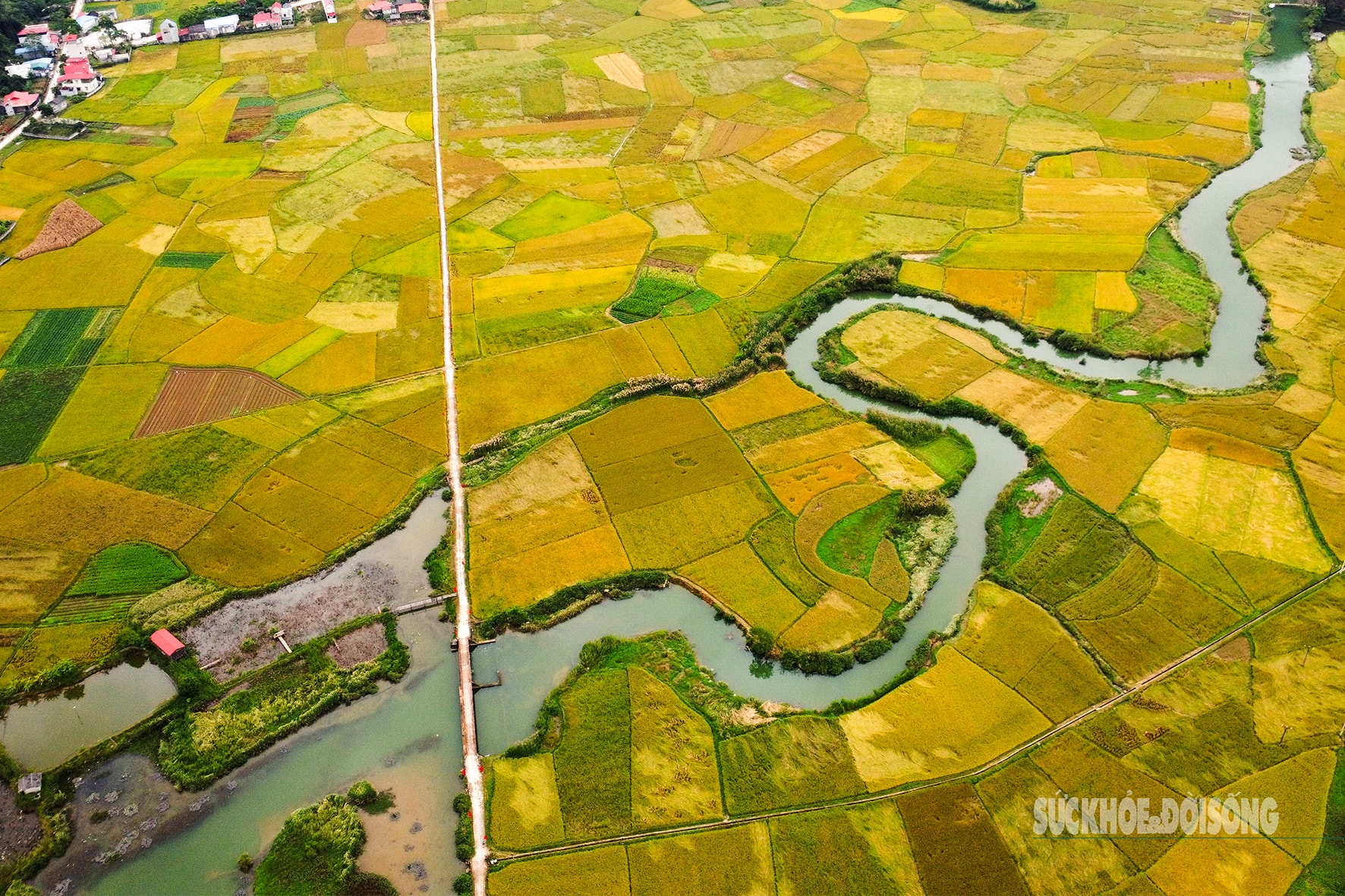 Bay trên mùa lúa chín ở làng du lịch tốt nhất thế giới- Ảnh 8.