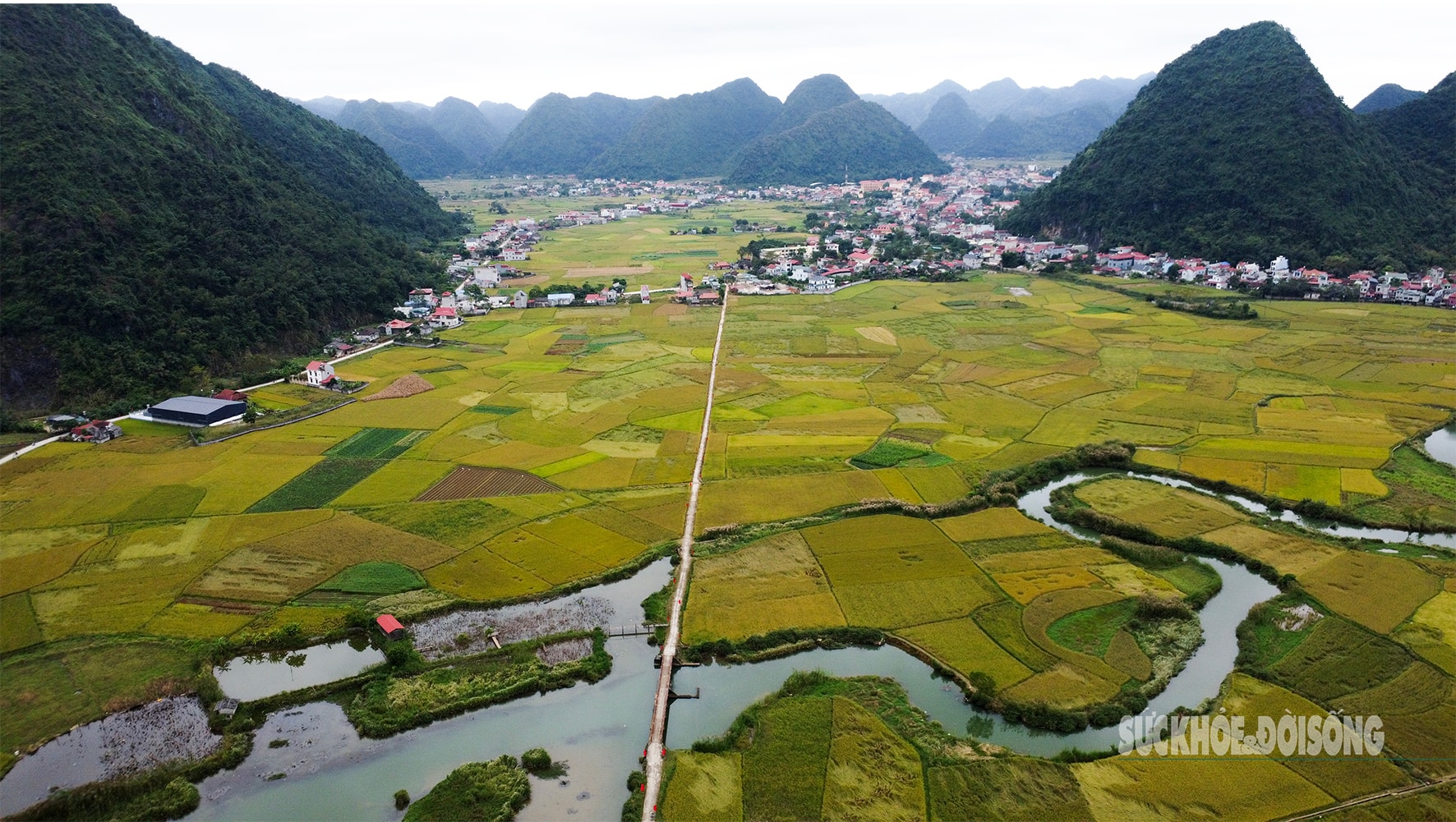 Bay trên mùa lúa chín ở làng du lịch tốt nhất thế giới- Ảnh 1.