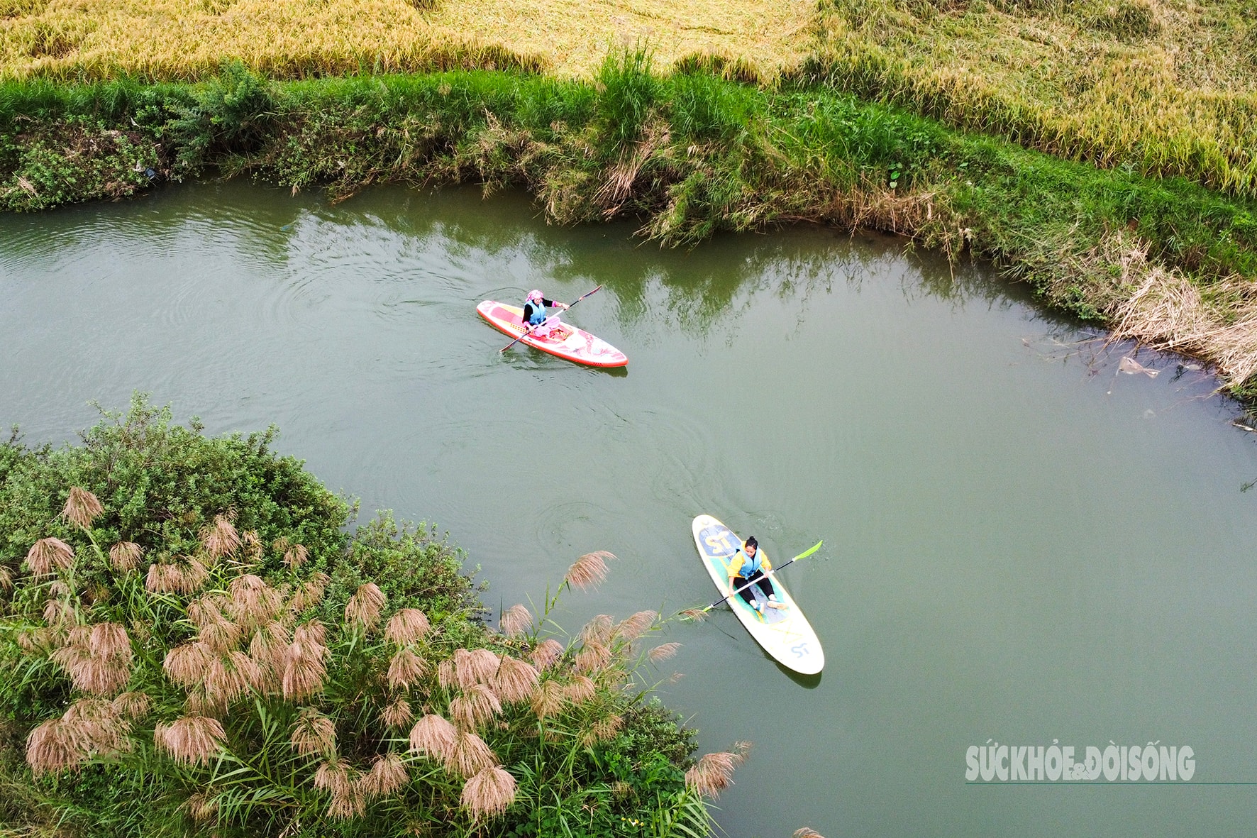 Bay trên mùa lúa chín ở làng du lịch tốt nhất thế giới- Ảnh 4.