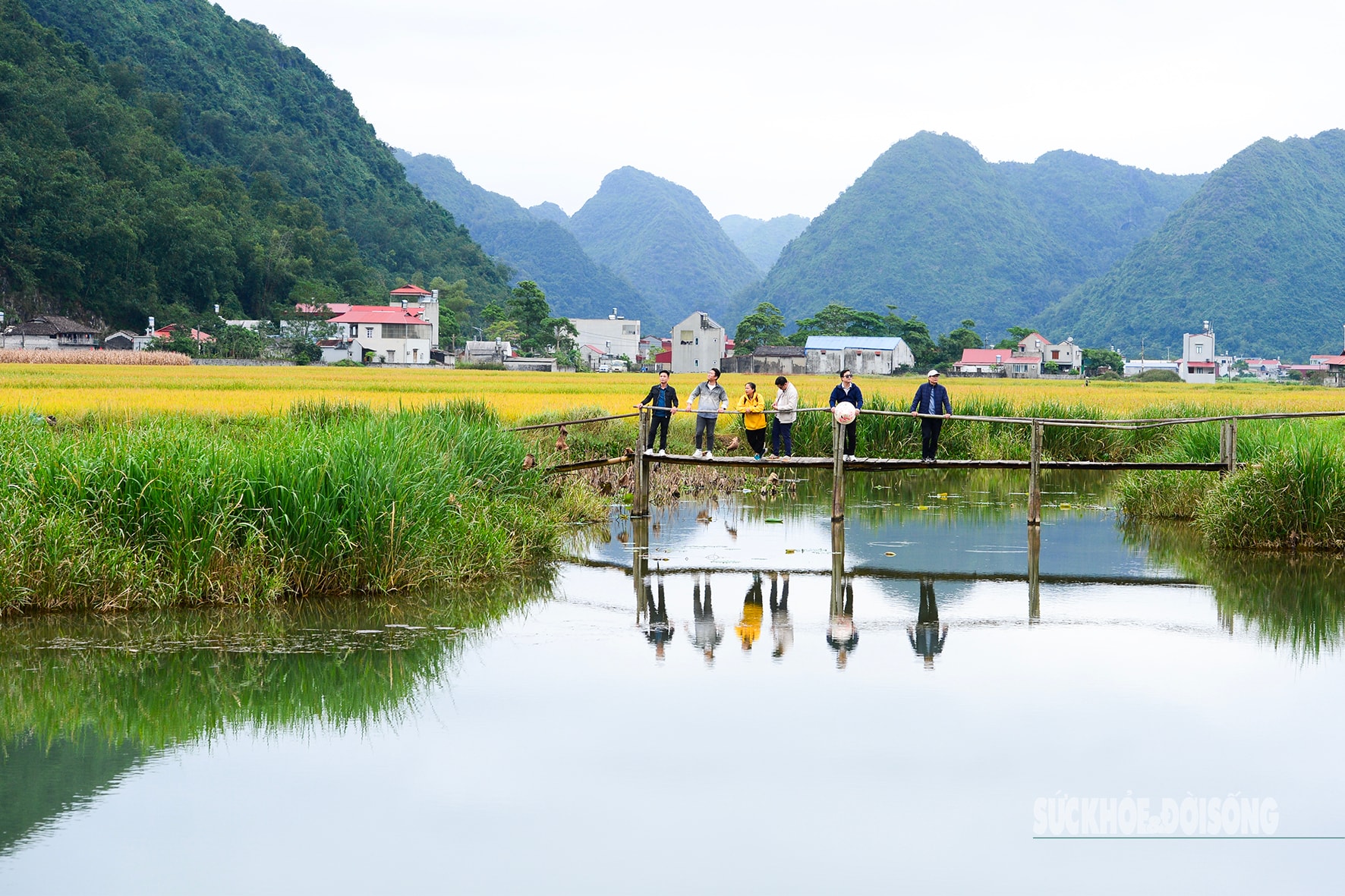 Bay trên mùa lúa chín ở làng du lịch tốt nhất thế giới- Ảnh 6.