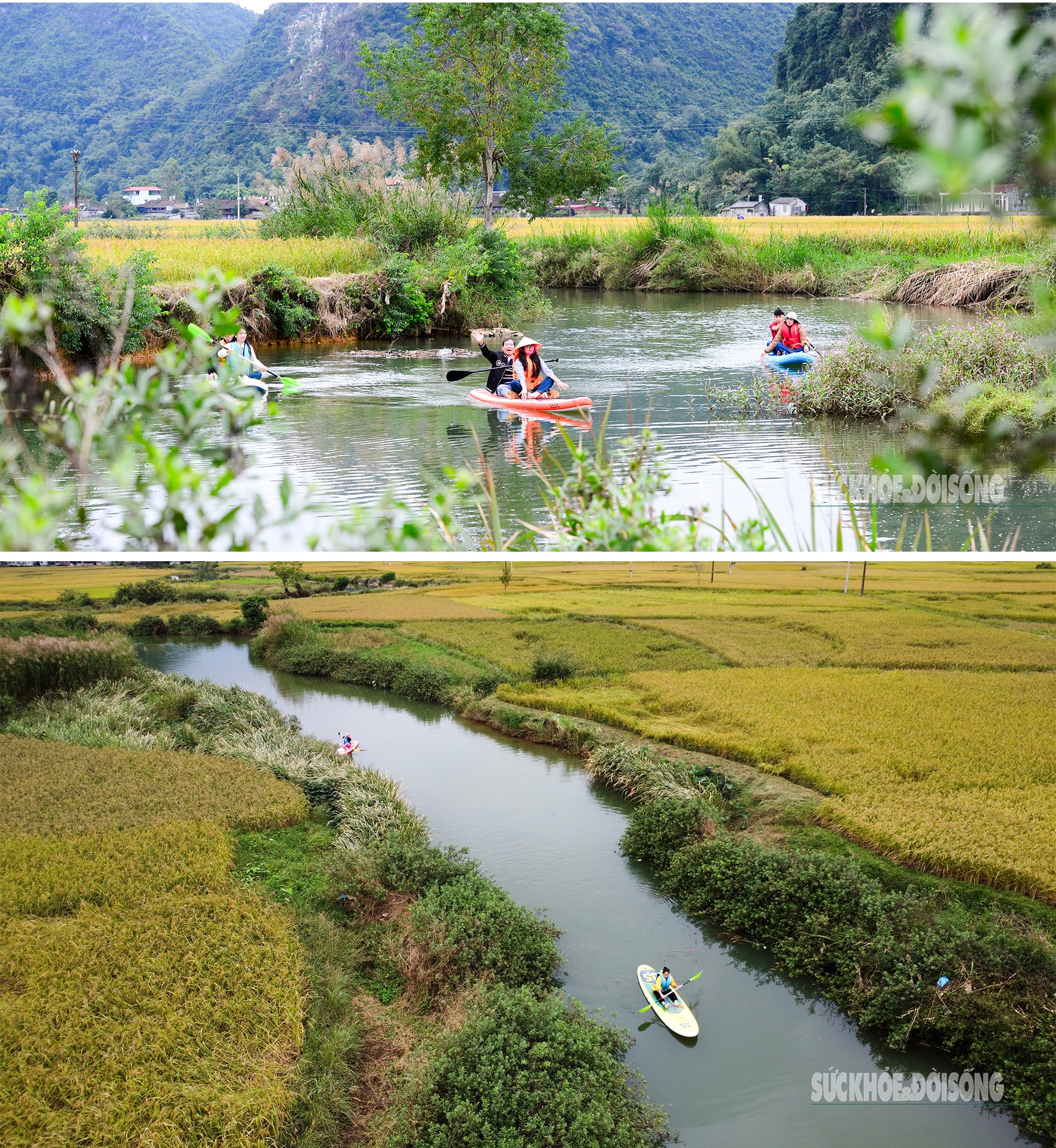 Bay trên mùa lúa chín ở làng du lịch tốt nhất thế giới- Ảnh 3.