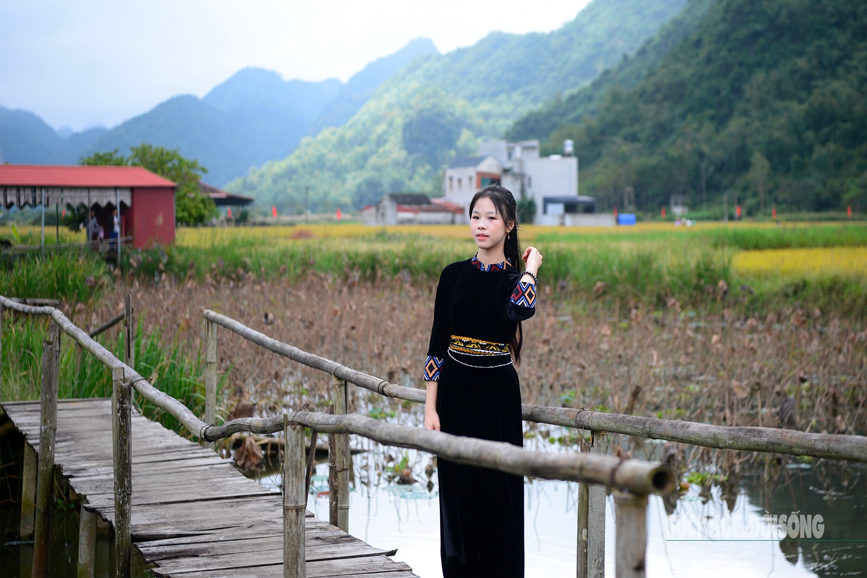 Bay trên mùa lúa chín ở làng du lịch tốt nhất thế giới- Ảnh 11.