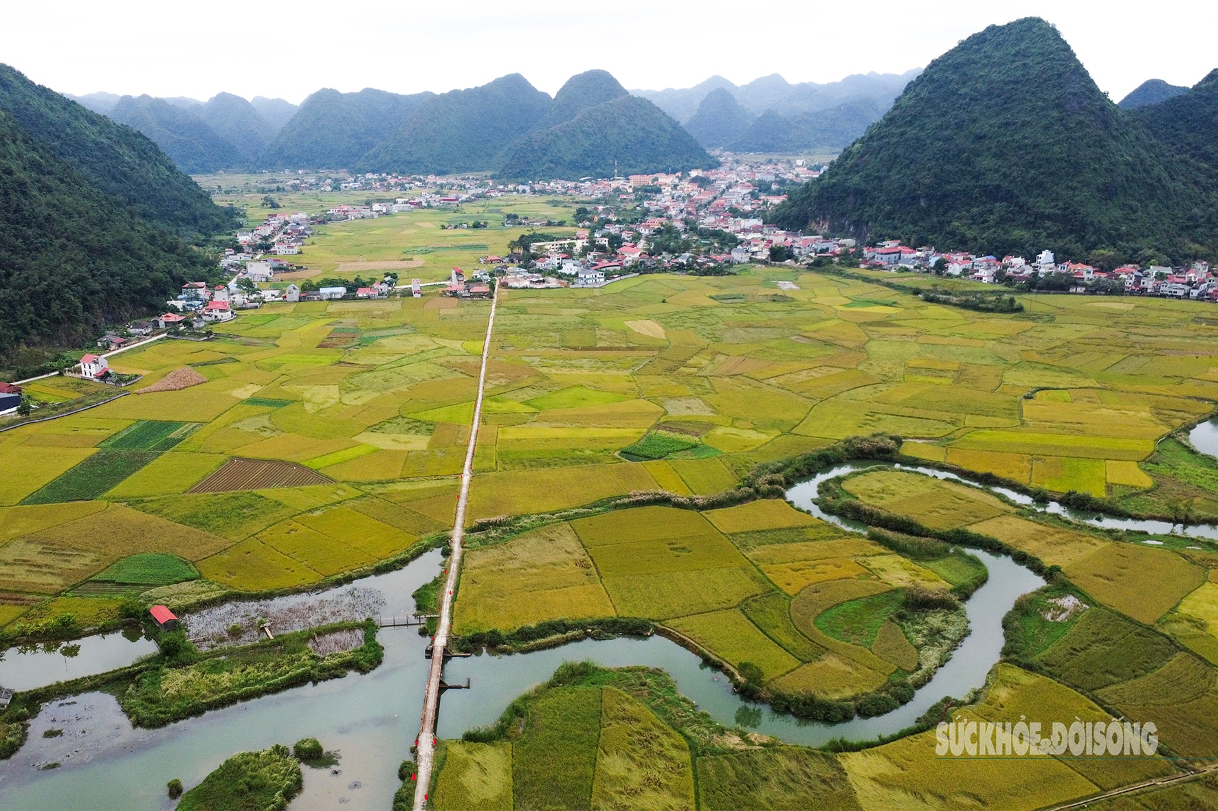 Người Tày Bắc Sơn thi gặt, đập lúa cổ truyền dưới chân Nà Lay- Ảnh 1. Người Tày Bắc Sơn thi gặt, đập lúa cổ truyền dưới chân Nà Lay- Ảnh 1.