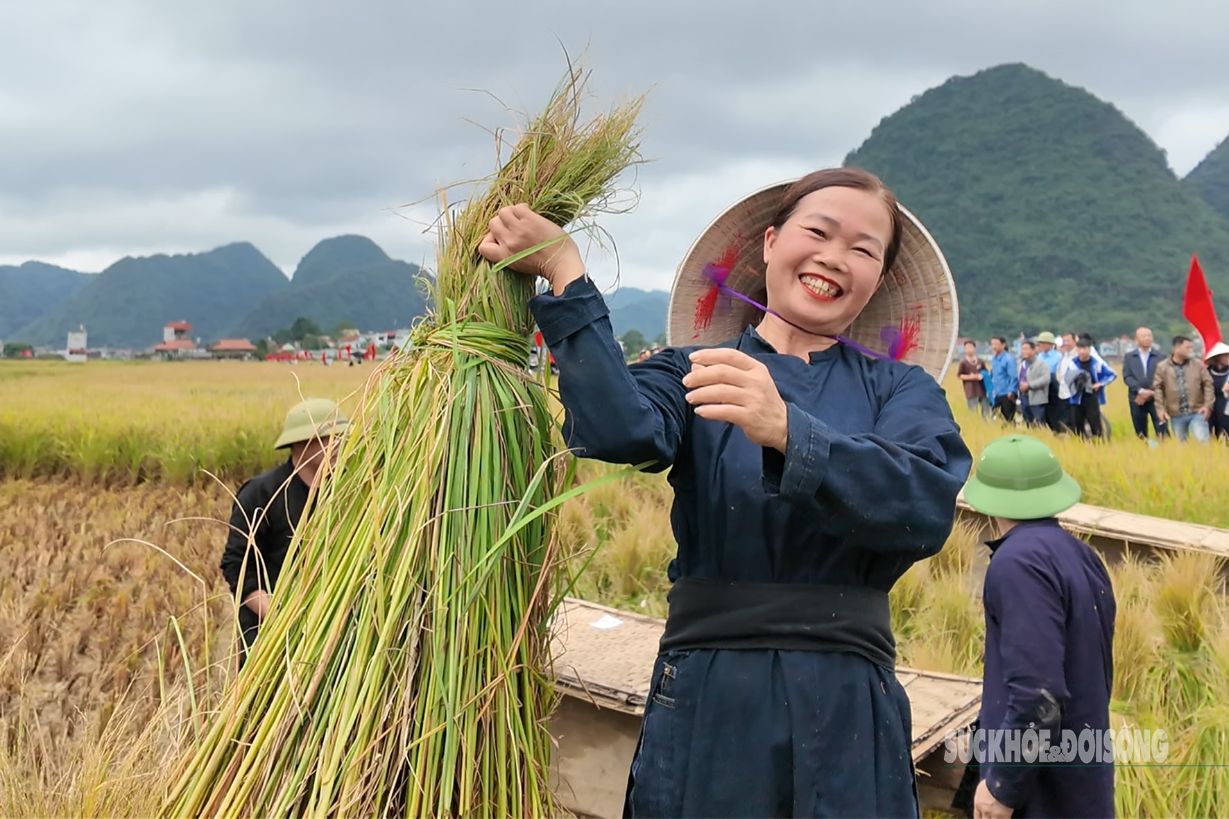 Người Tày Bắc Sơn thi gặt, đập lúa cổ truyền dưới chân Nà Lay- Ảnh 6. Người Tày Bắc Sơn thi gặt, đập lúa cổ truyền dưới chân Nà Lay- Ảnh 6.