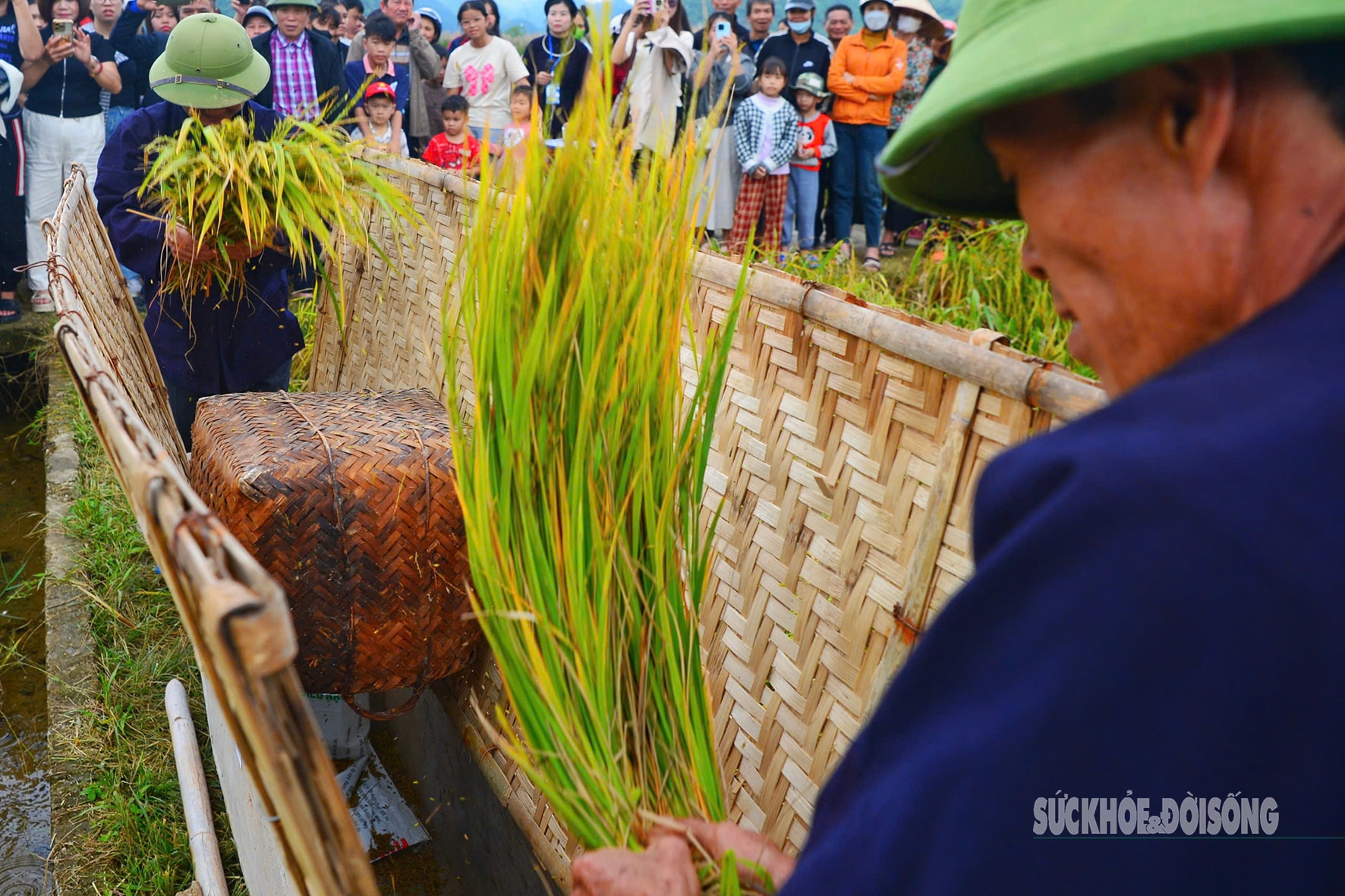 Người Tày Bắc Sơn thi gặt, đập lúa cổ truyền dưới chân Nà Lay- Ảnh 5. Người Tày Bắc Sơn thi gặt, đập lúa cổ truyền dưới chân Nà Lay- Ảnh 5.