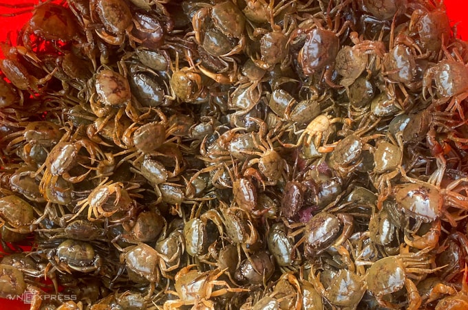 Cua đồng được người dân xã Hưng Nguyên dùng để chế biến thành chả. Ảnh: Đức Hùng