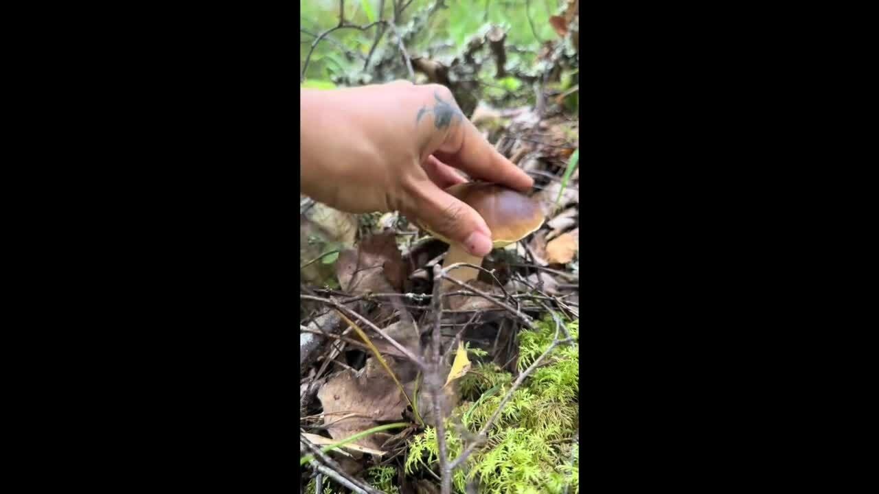 Tình yêu vượt rào cản văn hóa của vợ Việt - chồng Phần Lan