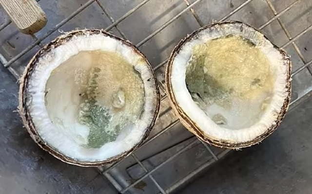 Người đàn ông 69 tuổi tuổi tử vong sau khi uống một ngụm nước dừa theo cách "vạn người mê"- Ảnh 1. Người đàn ông 69 tuổi tuổi tử vong sau khi uống một ngụm nước dừa theo cách "vạn người mê"- Ảnh 1.