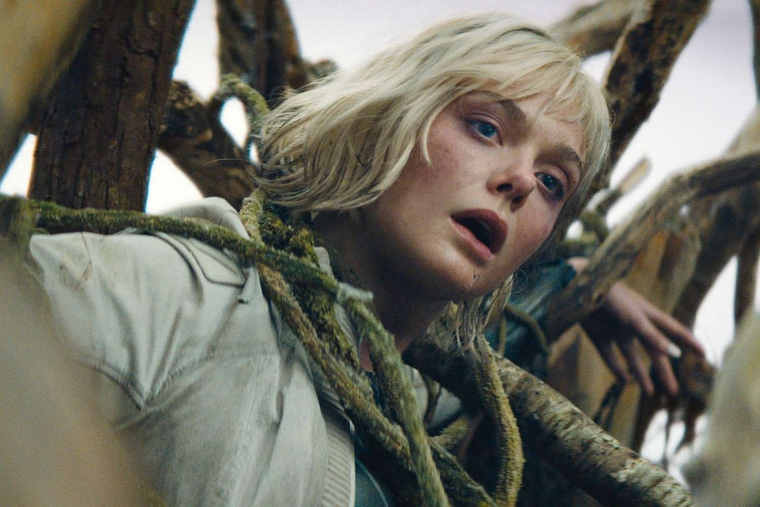 trái tim què quặt ảnh 2 trai tim que quat anh 2