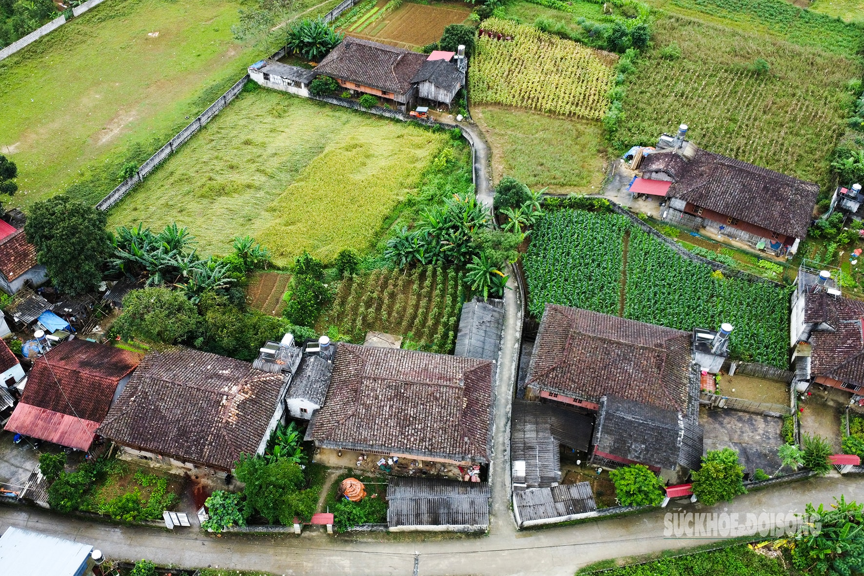 'Làng du lịch tốt nhất thế giới' của người Tày Bắc Sơn có gì?- Ảnh 3.