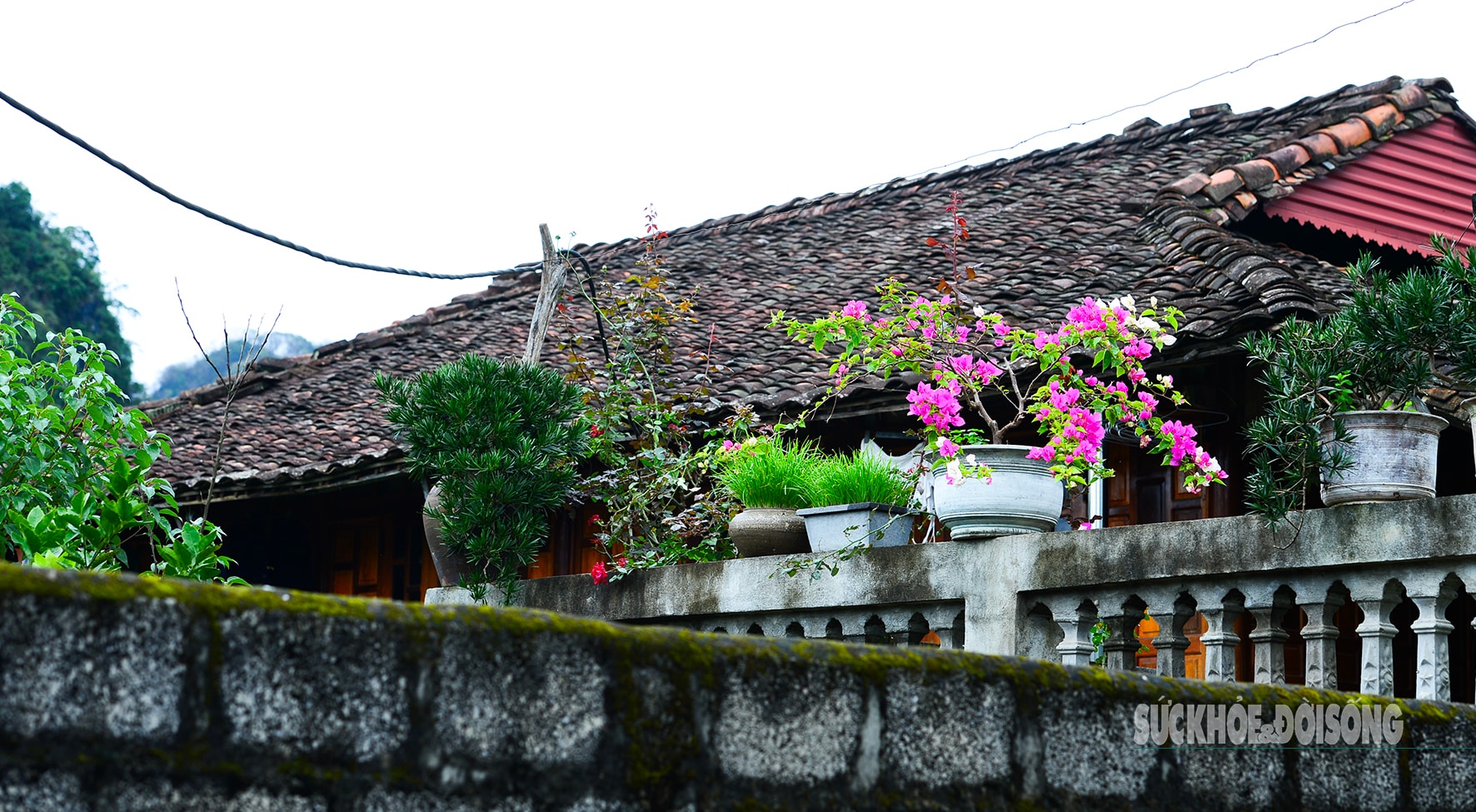 'Làng du lịch tốt nhất thế giới' của người Tày Bắc Sơn có gì?- Ảnh 5.