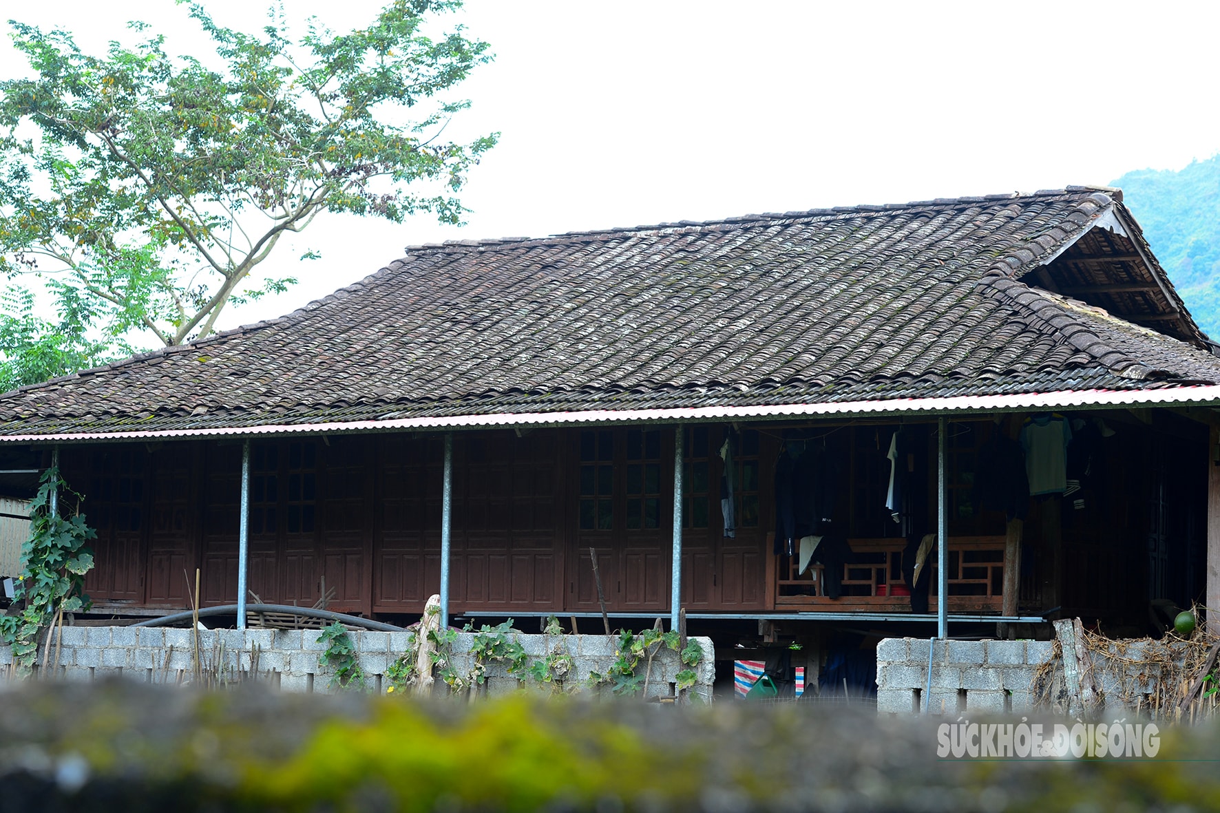 'Làng du lịch tốt nhất thế giới' của người Tày Bắc Sơn có gì?- Ảnh 6.