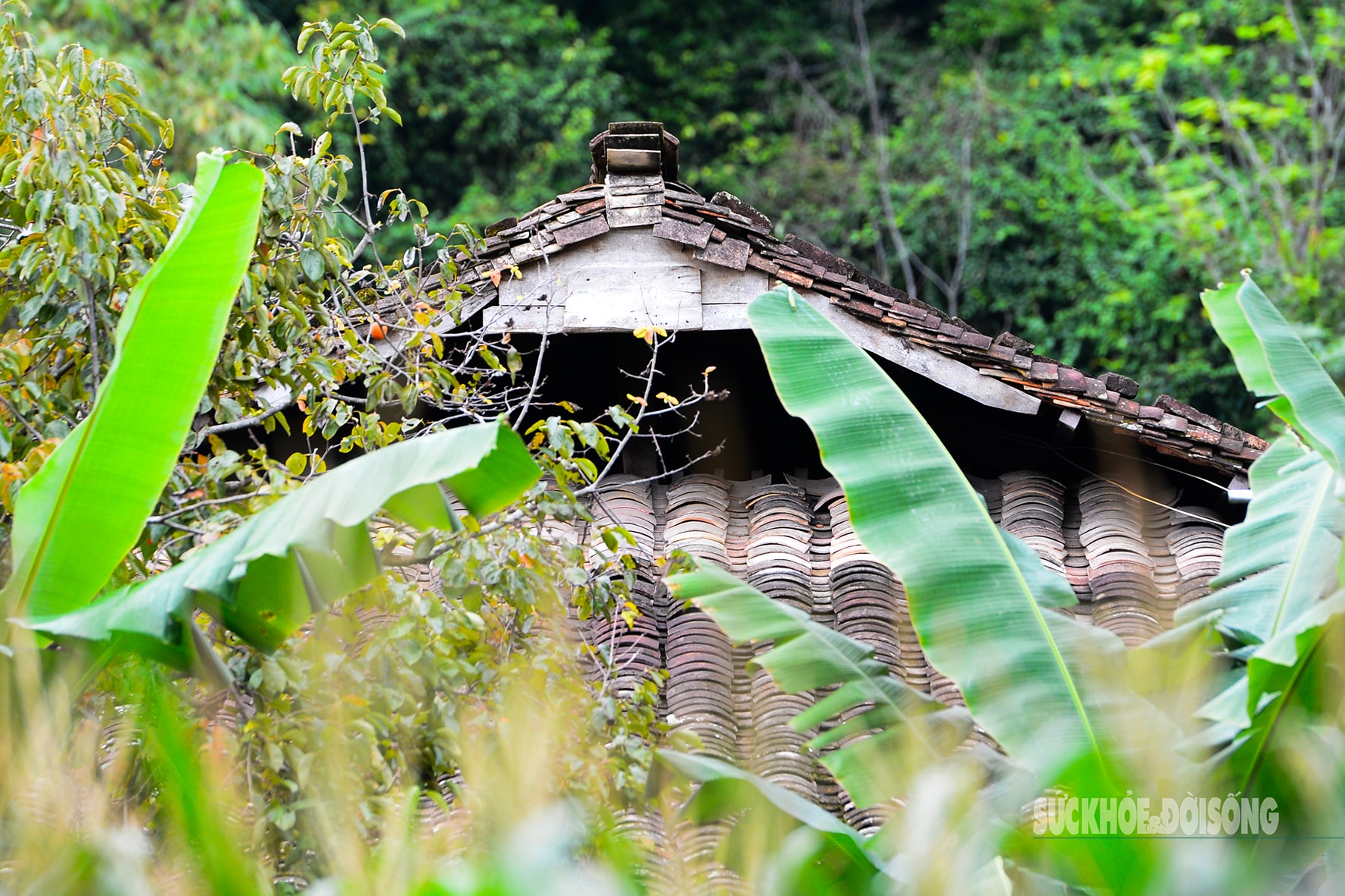 'Làng du lịch tốt nhất thế giới' của người Tày Bắc Sơn có gì?- Ảnh 9.
