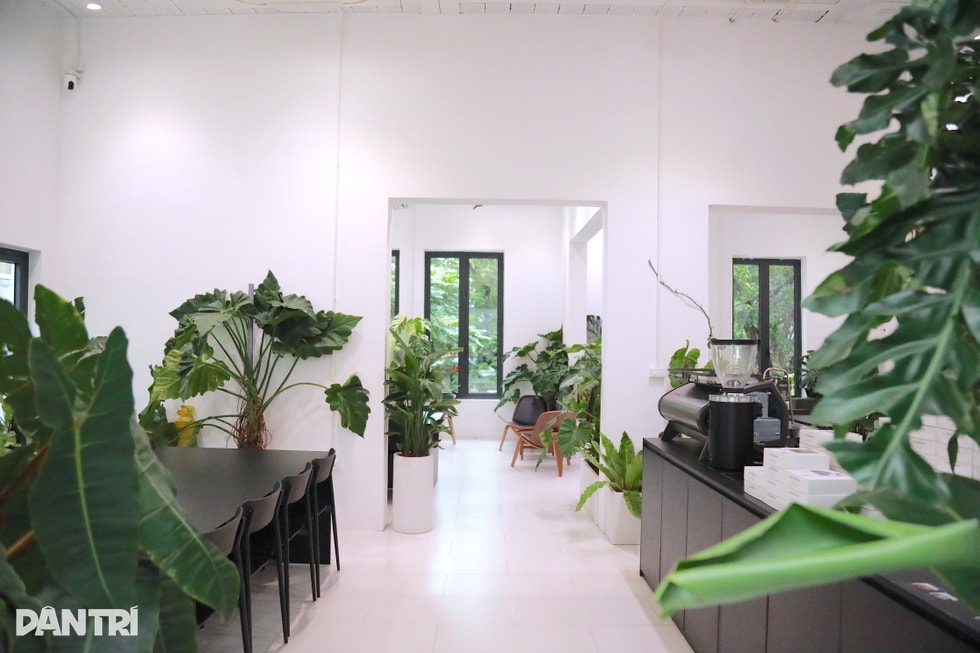 Quán “cà phê nhà giàu” trong ngõ ở Hà Nội, bán 750.000 đồng/ly - 8 Quán “cà phê nhà giàu” trong ngõ ở Hà Nội, bán 750.000 đồng/ly - 8