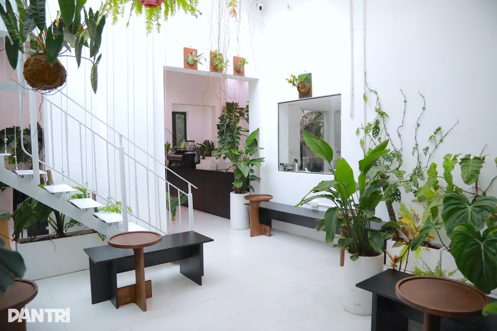 Quán “cà phê nhà giàu” trong ngõ ở Hà Nội, bán 750.000 đồng/ly - 9 Quán “cà phê nhà giàu” trong ngõ ở Hà Nội, bán 750.000 đồng/ly - 9