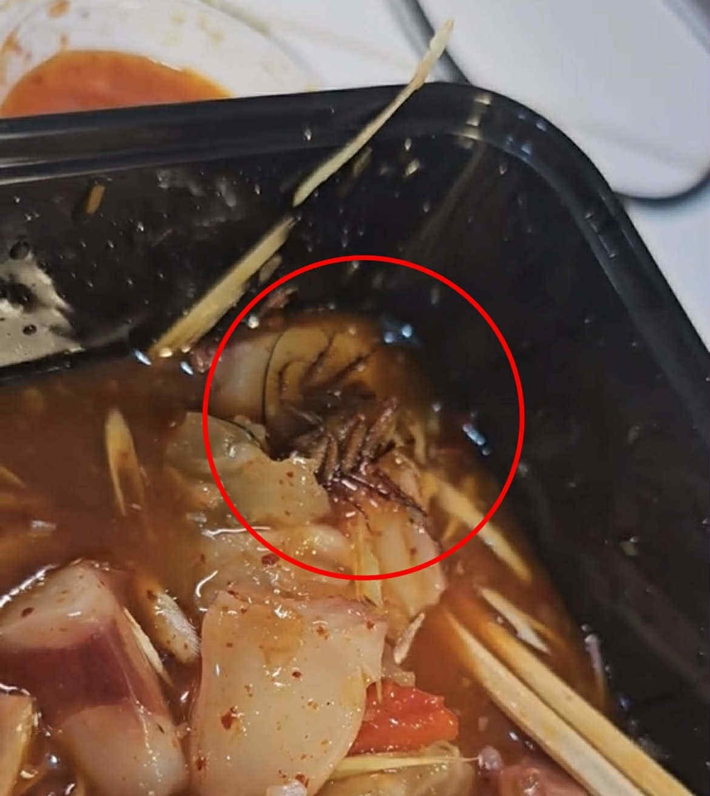 Đặt suất gân bò về nhà, khách ở TPHCM hốt hoảng thấy gián trong đồ ăn - 1 Đặt suất gân bò về nhà, khách ở TPHCM hốt hoảng thấy gián trong đồ ăn - 1