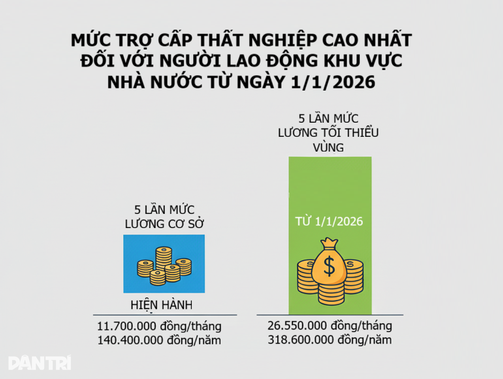 Năm 2026, trợ cấp thất nghiệp cao nhất của viên chức là hơn 26,5 triệu đồng - 2