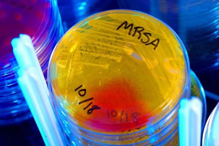 mrsa-khang-sinh.png