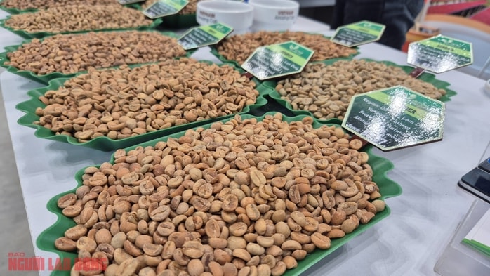 Giá cà phê hôm nay 11 -11: Arabica lại vượt 9.000 USD/tấn - Ảnh 1.