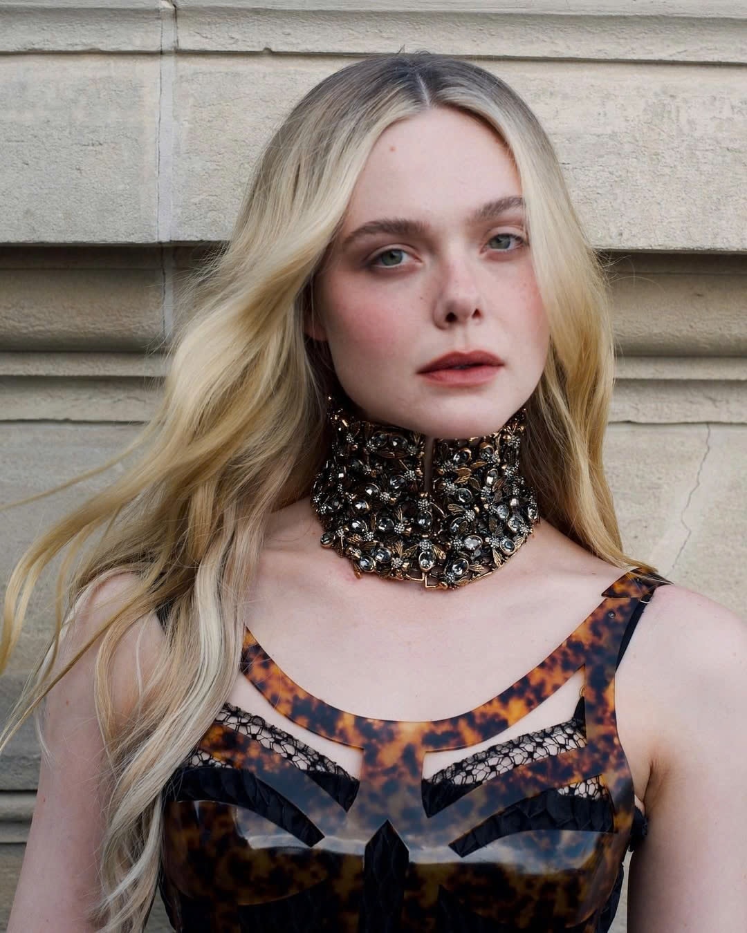 Elle Fanning anh 3
