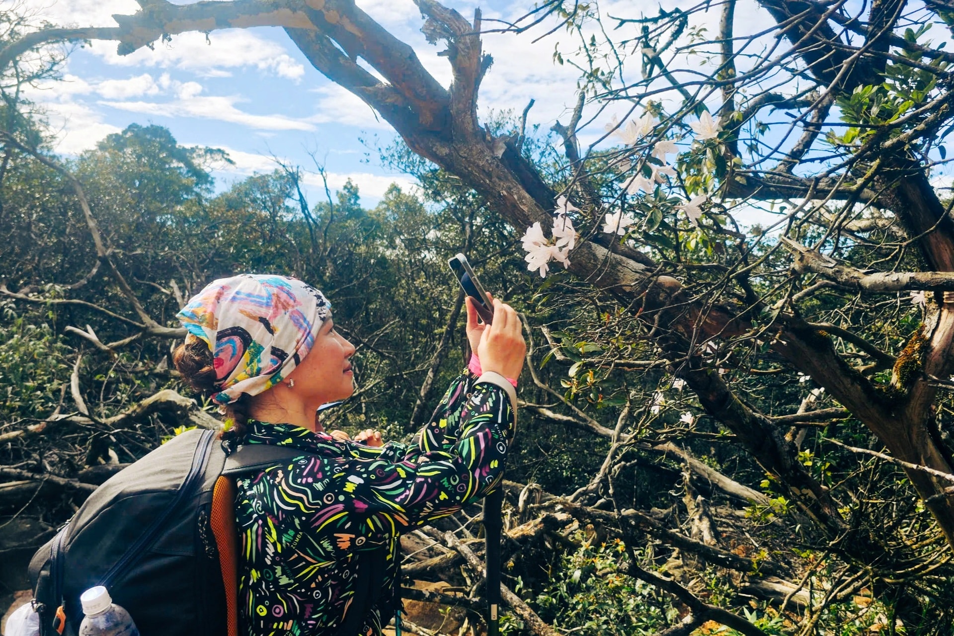 Săn mây trên “nóc nhà” Voi Mẹp cao hơn 1.700m so với mực nước biển - 11 Săn mây trên “nóc nhà” Voi Mẹp cao hơn 1.700m so với mực nước biển - 11