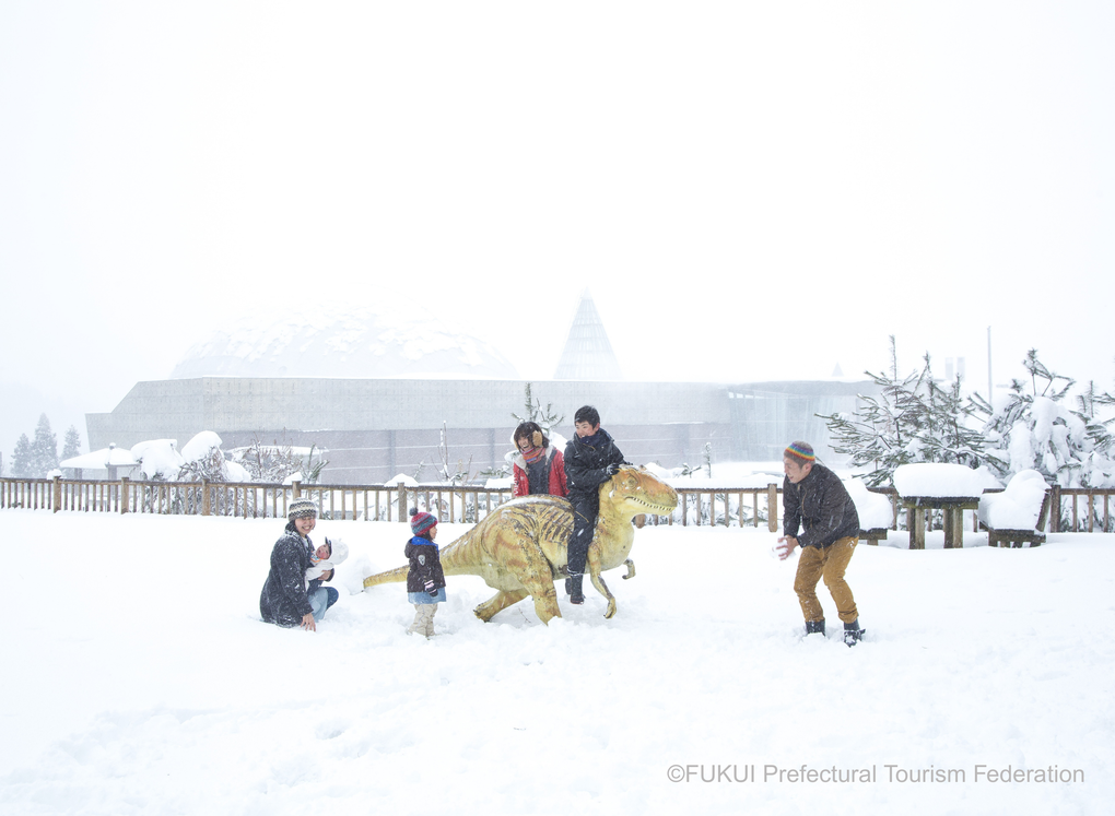 Khám phá mùa đông nên thơ tại Nhật Bản ở khu vực Hokuriku Shinetsu và Tokai - 3 Khám phá mùa đông nên thơ tại Nhật Bản ở khu vực Hokuriku Shinetsu và Tokai - 3