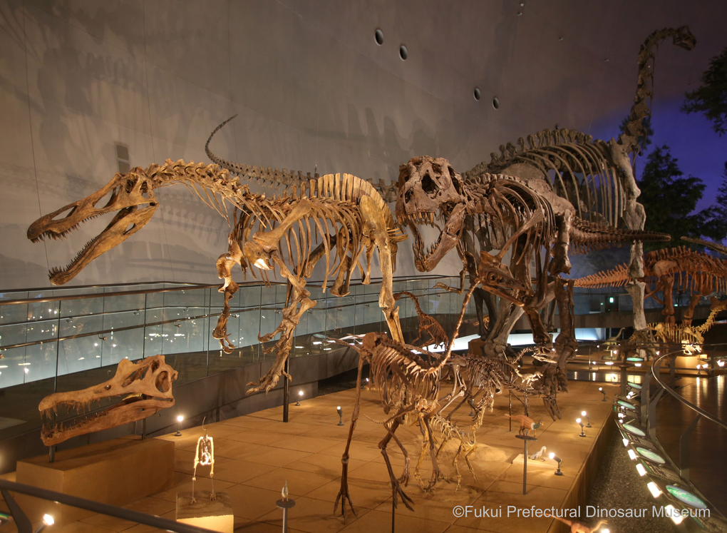 Khám phá mùa đông nên thơ tại Nhật Bản ở khu vực Hokuriku Shinetsu và Tokai - 4 Khám phá mùa đông nên thơ tại Nhật Bản ở khu vực Hokuriku Shinetsu và Tokai - 4