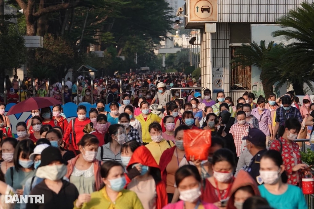 Nhiều xã, phường ở TPHCM được điều chỉnh vùng lương cao hơn - 1 Nhiều xã, phường ở TPHCM được điều chỉnh vùng lương cao hơn - 1