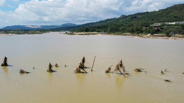 Cầu Ông Cọp - cây cầu gỗ dài nhất Việt Nam sập hoàn toàn sau bão lũ - Ảnh 3.