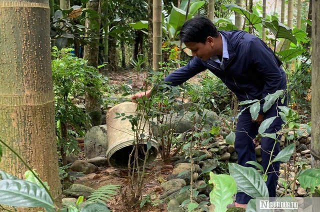 Đà Nẵng: Sốt xuất huyết tăng 37% trong một tuần- Ảnh 1. Đà Nẵng: Sốt xuất huyết tăng 37% trong một tuần- Ảnh 1.