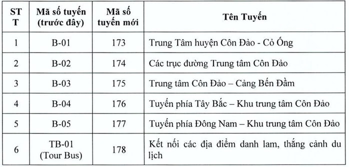 Côn Đảo sắp có tuyến xe buýt điện đầu tiên - Ảnh 2.