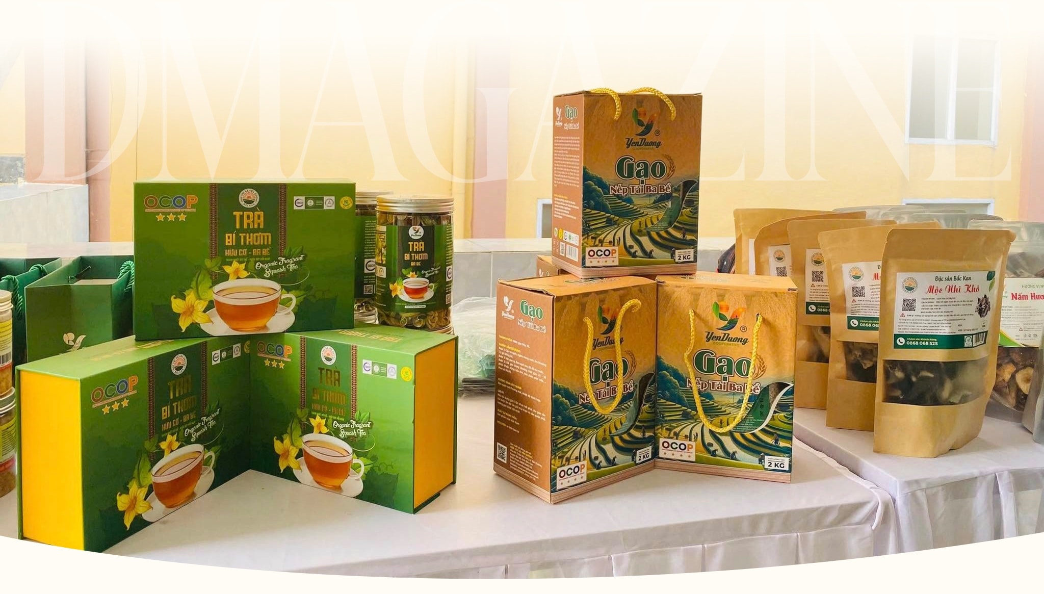 Hợp tác xã - mở lối thoát nghèo cho phụ nữ dân tộc thiểu số - 17 Hợp tác xã - mở lối thoát nghèo cho phụ nữ dân tộc thiểu số - 17