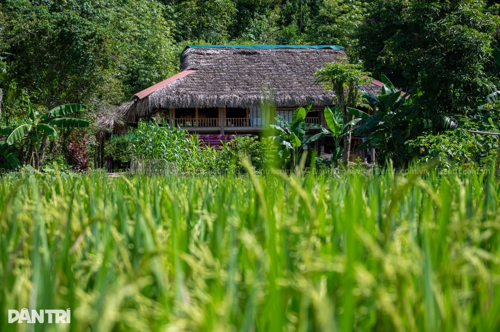 Bà nội gần 80 tuổi gồng gánh 3 cháu nhỏ mồ côi cha, mẹ bỏ đi - 1 Bà nội gần 80 tuổi gồng gánh 3 cháu nhỏ mồ côi cha, mẹ bỏ đi - 1