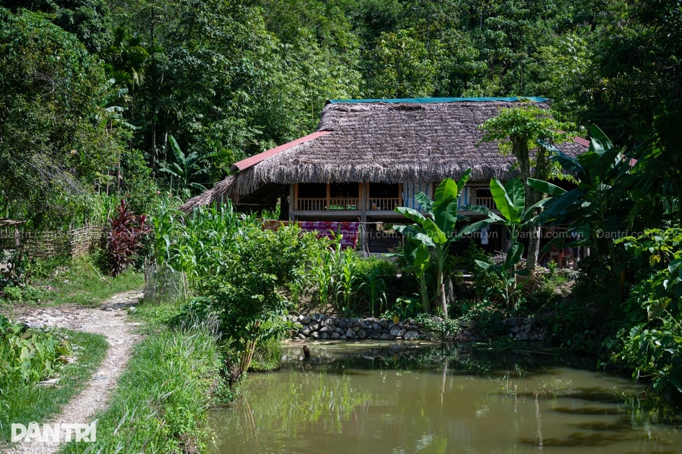 Bà nội gần 80 tuổi gồng gánh 3 cháu nhỏ mồ côi cha, mẹ bỏ đi - 12 Bà nội gần 80 tuổi gồng gánh 3 cháu nhỏ mồ côi cha, mẹ bỏ đi - 12