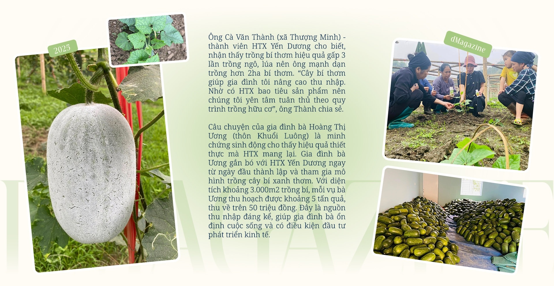 Hợp tác xã - mở lối thoát nghèo cho phụ nữ dân tộc thiểu số - 13 Hợp tác xã - mở lối thoát nghèo cho phụ nữ dân tộc thiểu số - 13