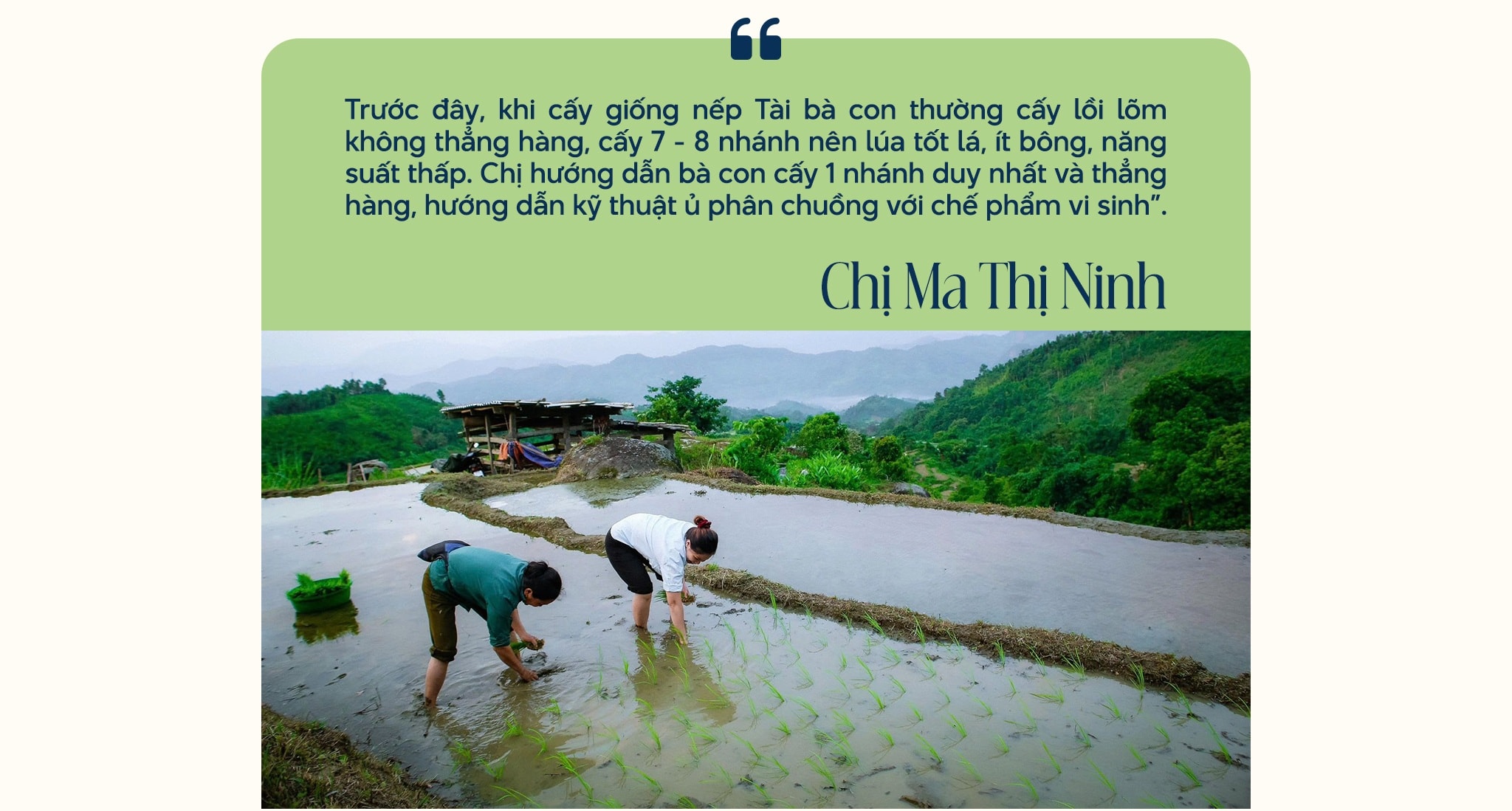 Hợp tác xã - mở lối thoát nghèo cho phụ nữ dân tộc thiểu số - 7 Hợp tác xã - mở lối thoát nghèo cho phụ nữ dân tộc thiểu số - 7