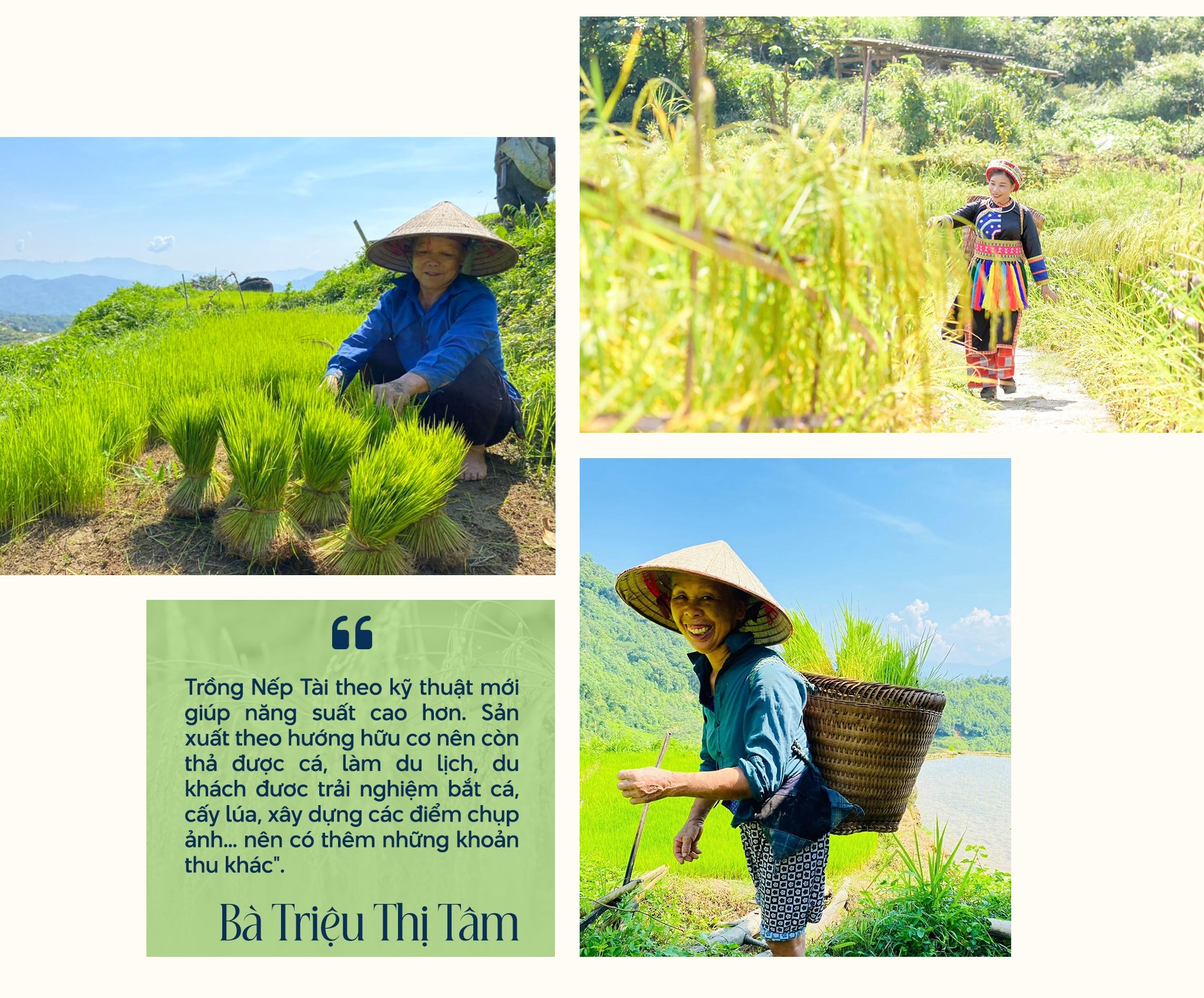 Hợp tác xã - mở lối thoát nghèo cho phụ nữ dân tộc thiểu số - 9 Hợp tác xã - mở lối thoát nghèo cho phụ nữ dân tộc thiểu số - 9